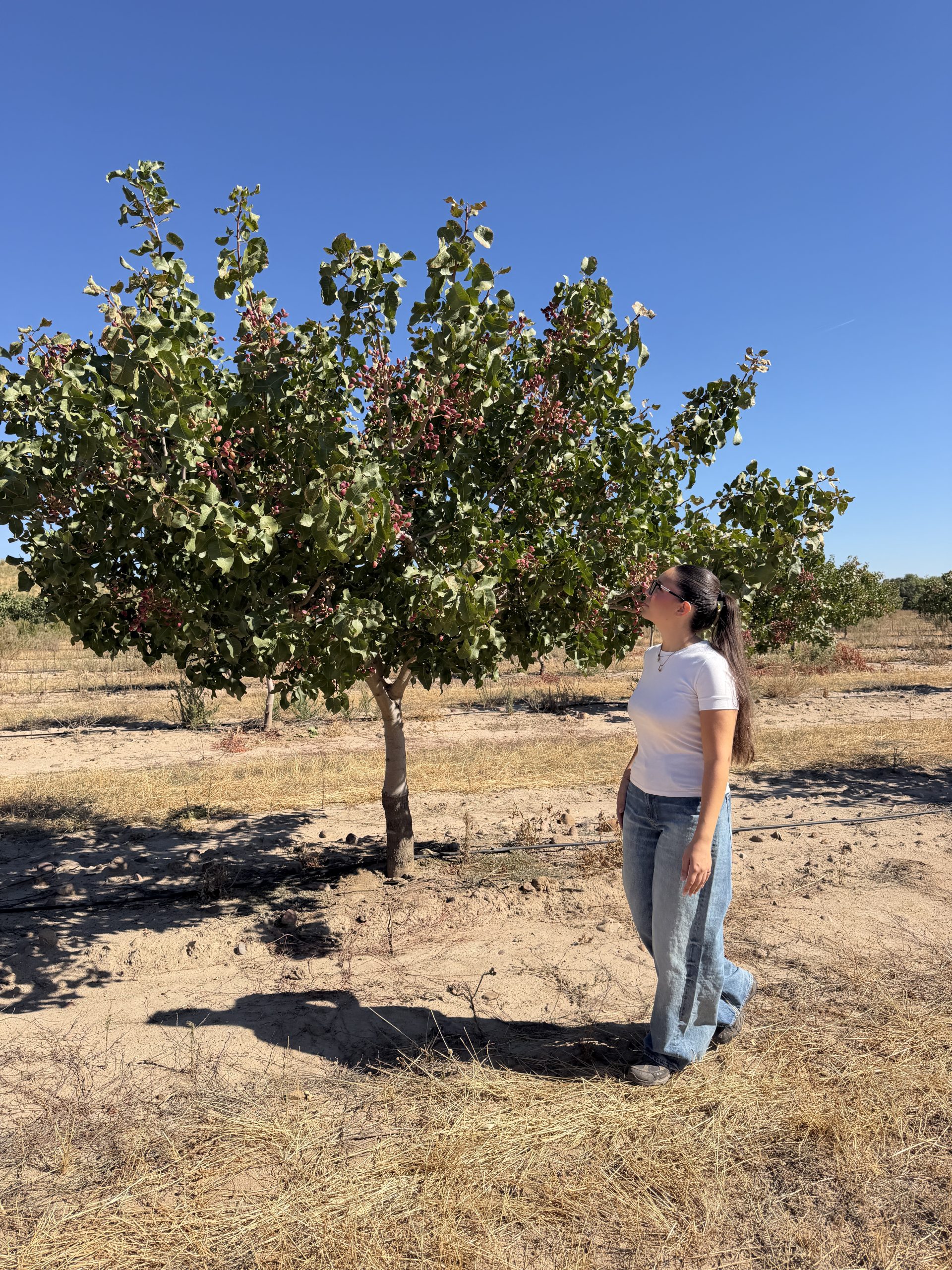La agricultora