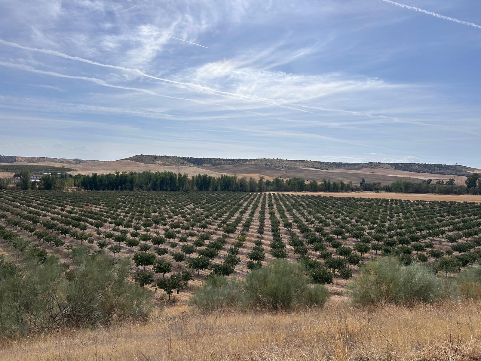 Nuestra finca